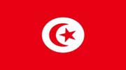 突尼斯大使馆网站